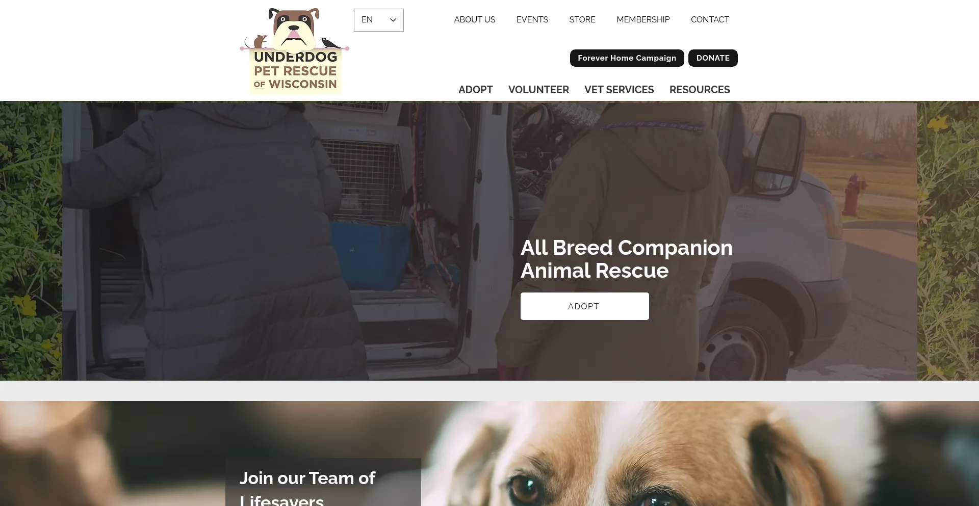 Underdogpetrescue.org