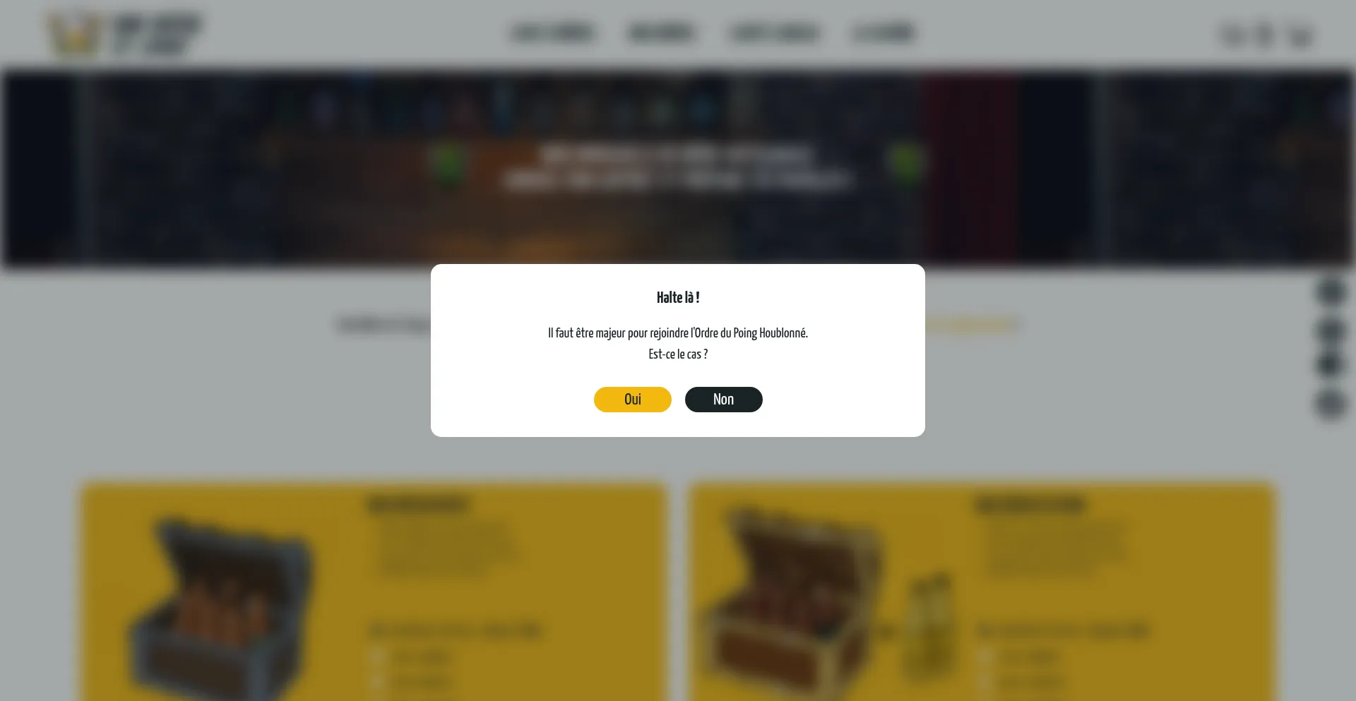 Website screenshot of Unebiereetjivay.com