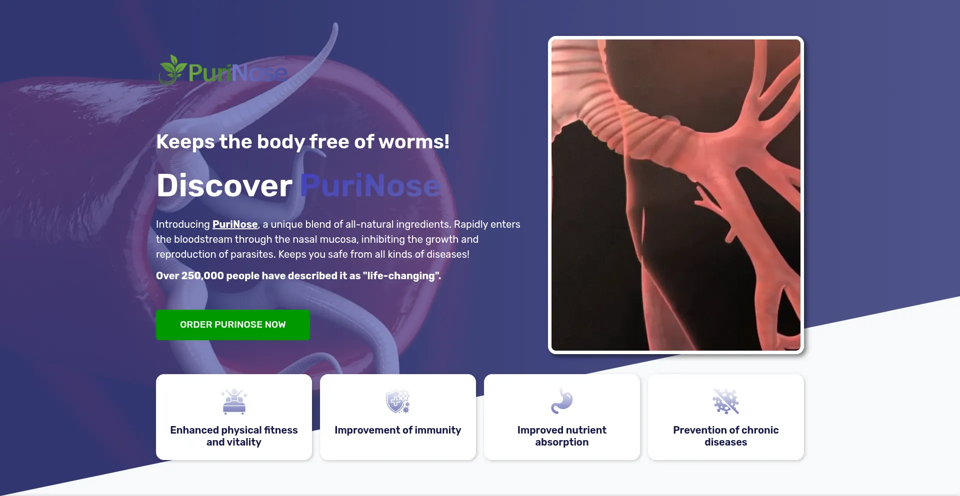 Website screenshot of Univermartf.com