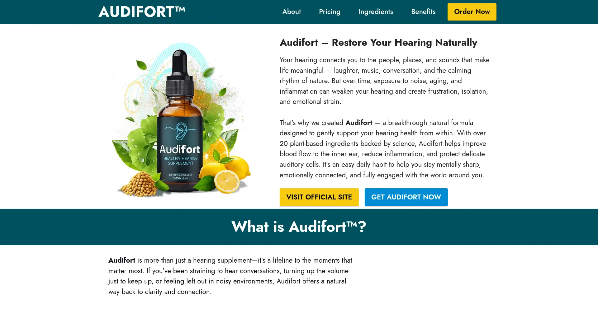 ¿És Seguro y Confiable Us-audi-fort-us.com?