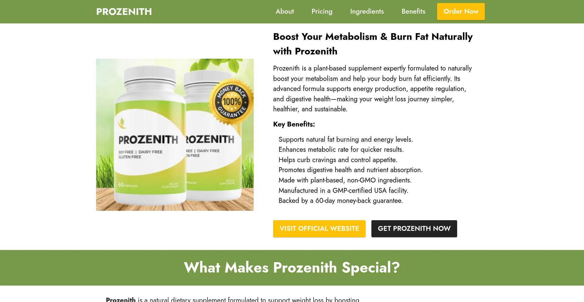 Website screenshot of Us-en-prozenith.com
