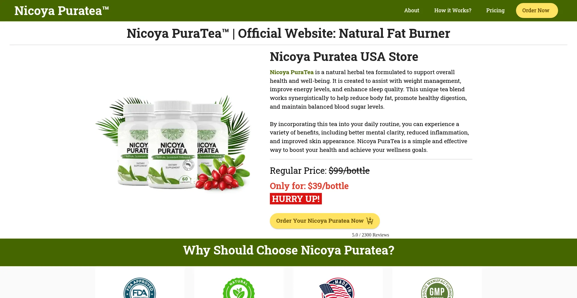 Website screenshot of Us-nicoyapuratea-us.us