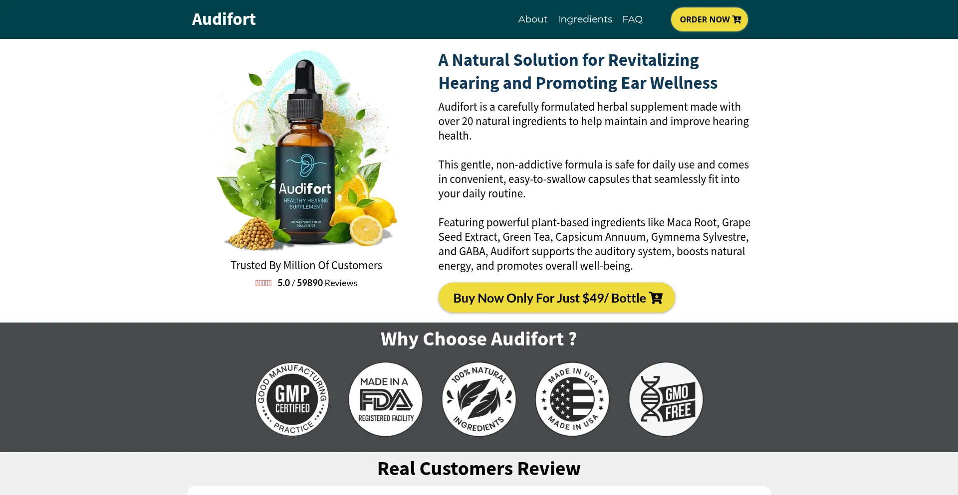 Website screenshot of Us-usa-en-audifort.com