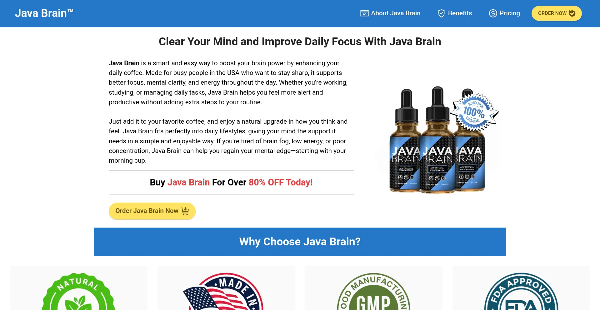 Website screenshot of Usa-java-brain.us