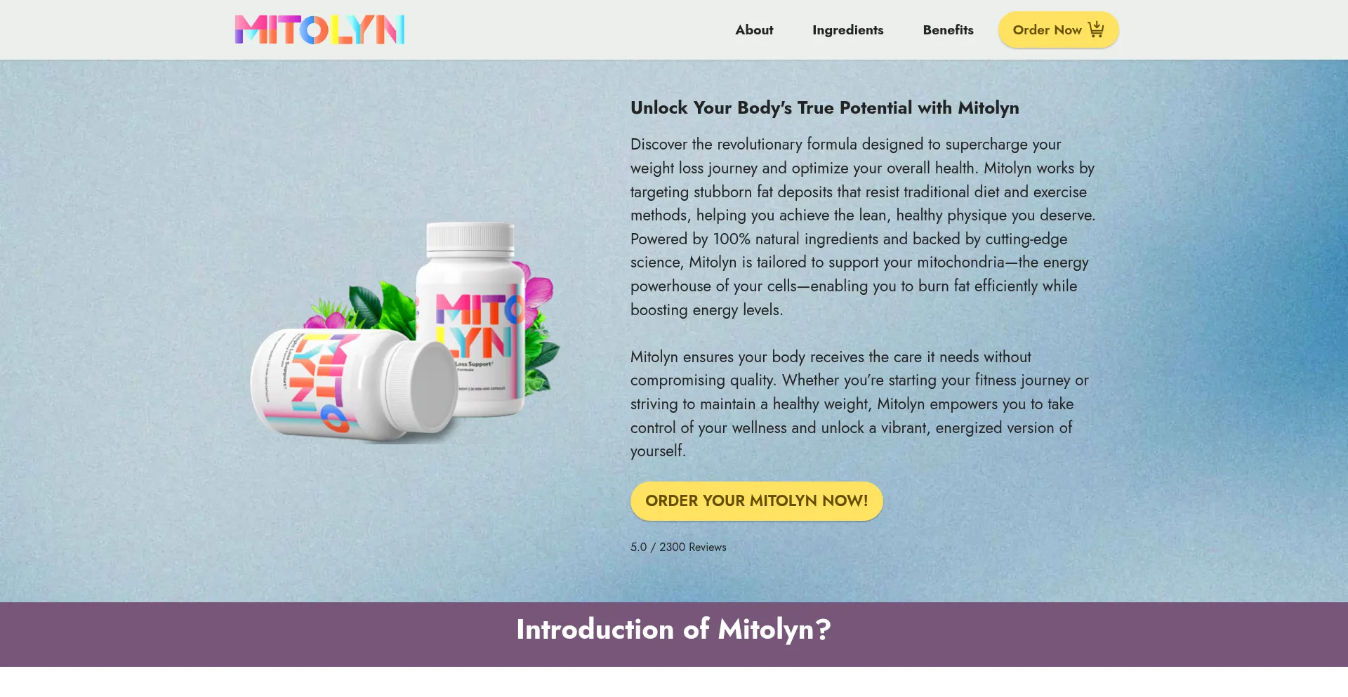Website screenshot of Usa-mitolyn.us