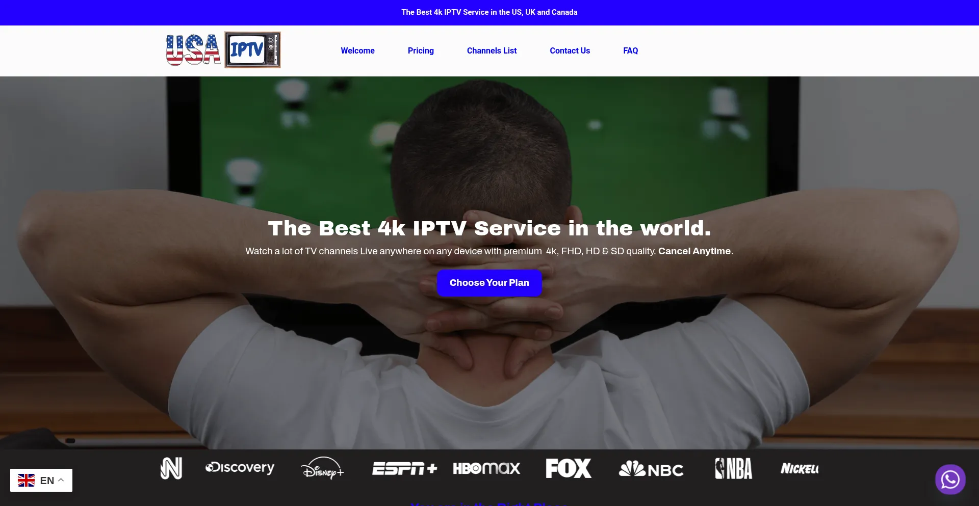Website screenshot of Usaiptv.online
