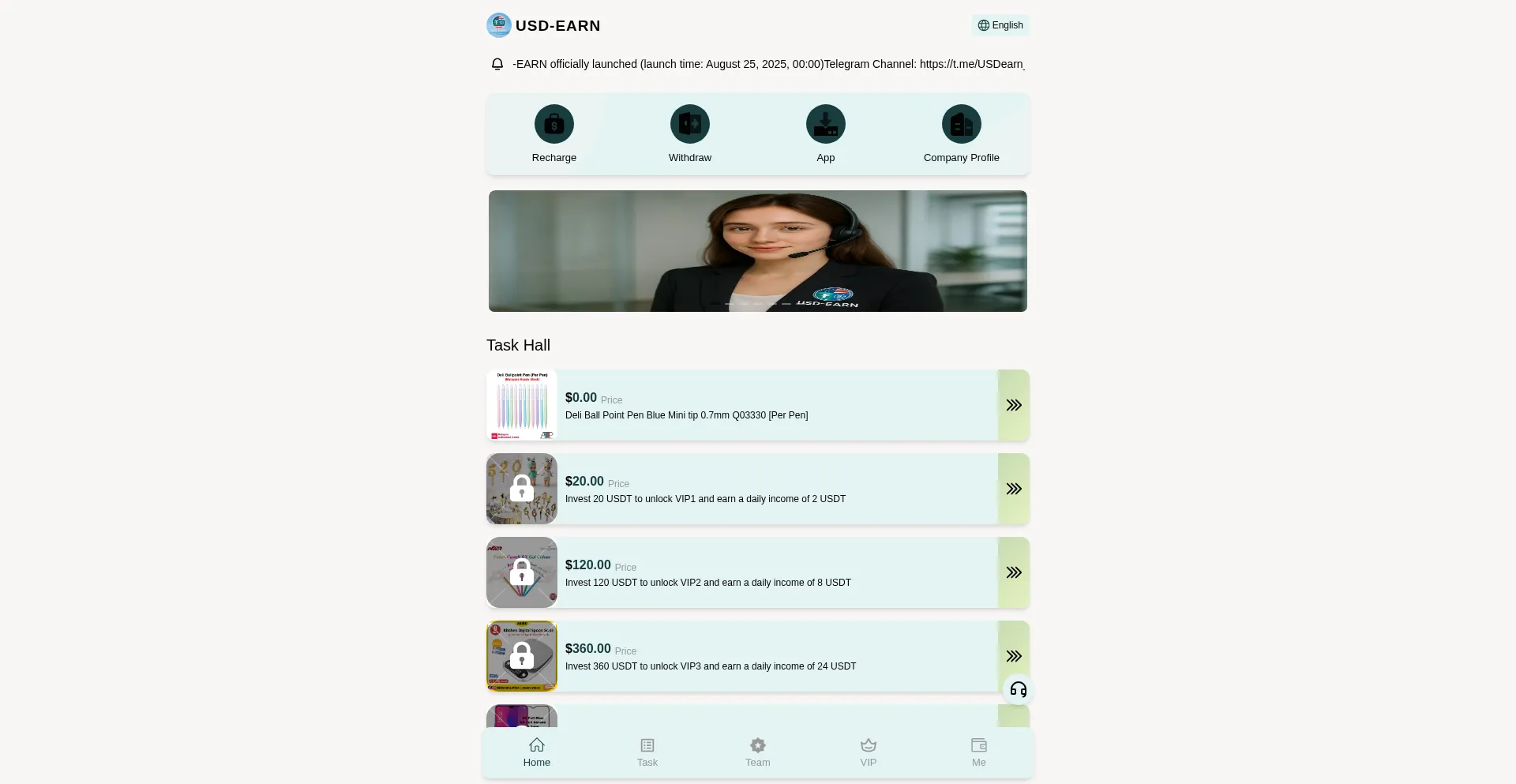 Website screenshot of Usd-earn.com