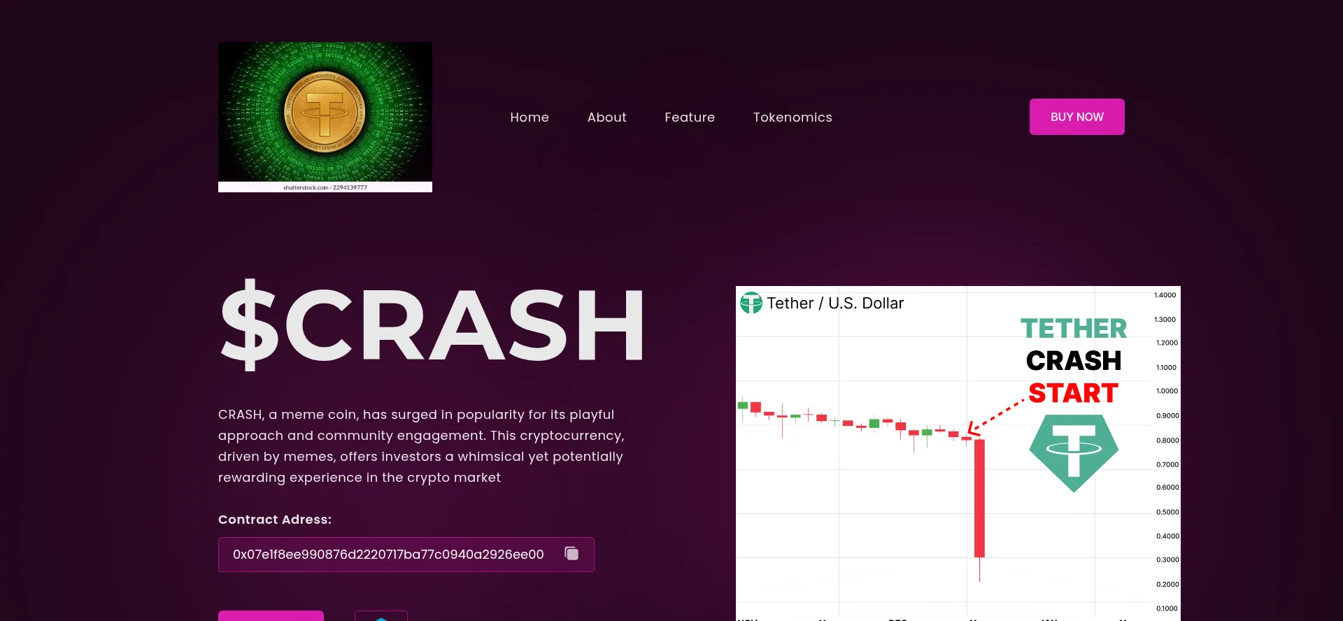 Usdtcrash.site