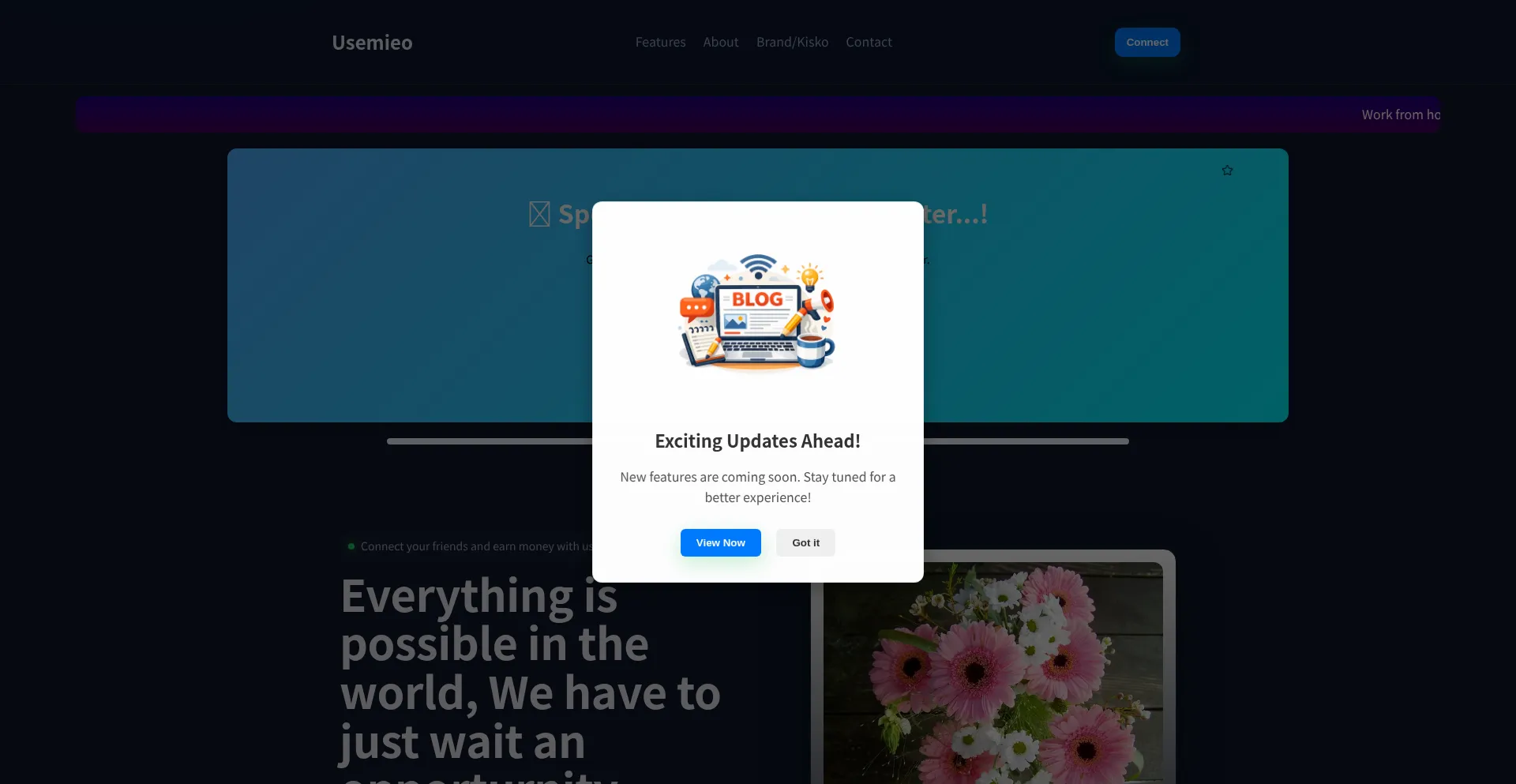 Usemieo.com