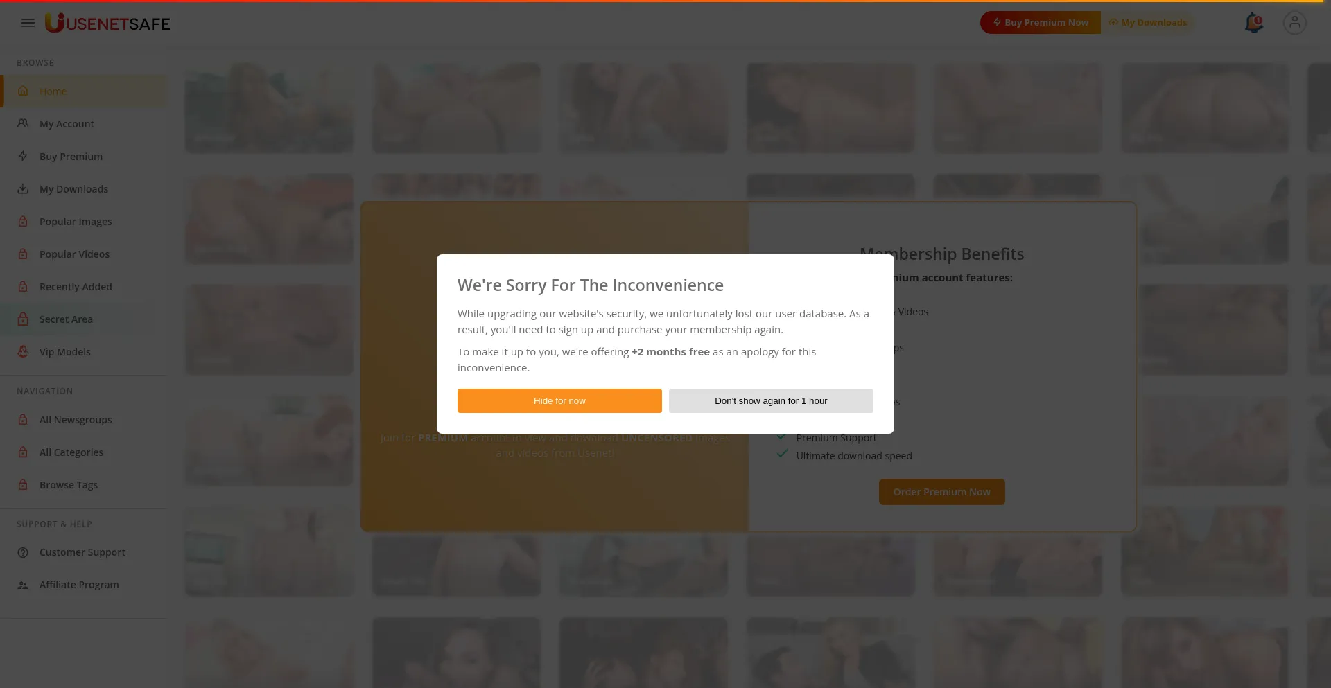 Website screenshot of Usenetsafe.org