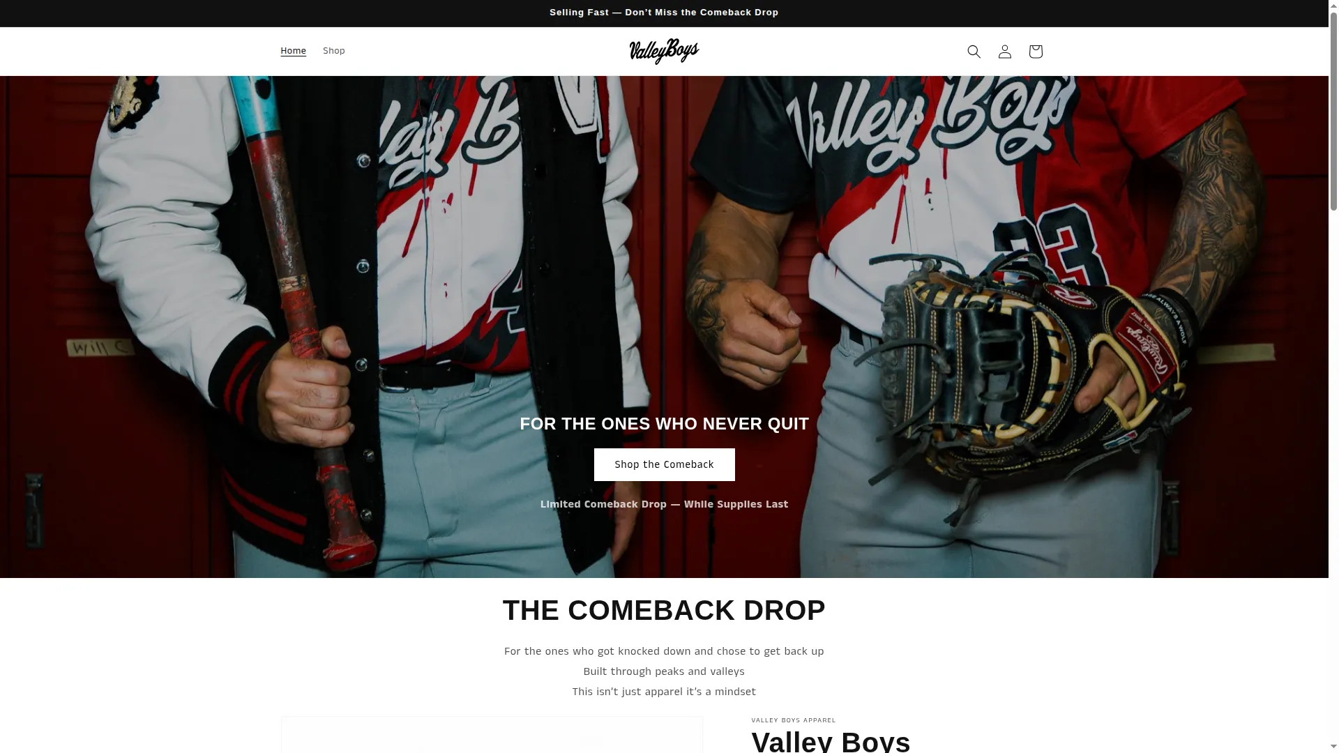 Valleyboys.shop