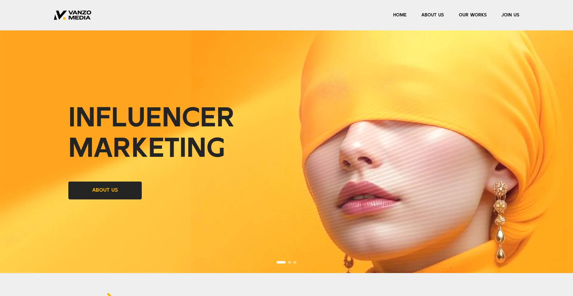 Website screenshot of Vanzomedia.com