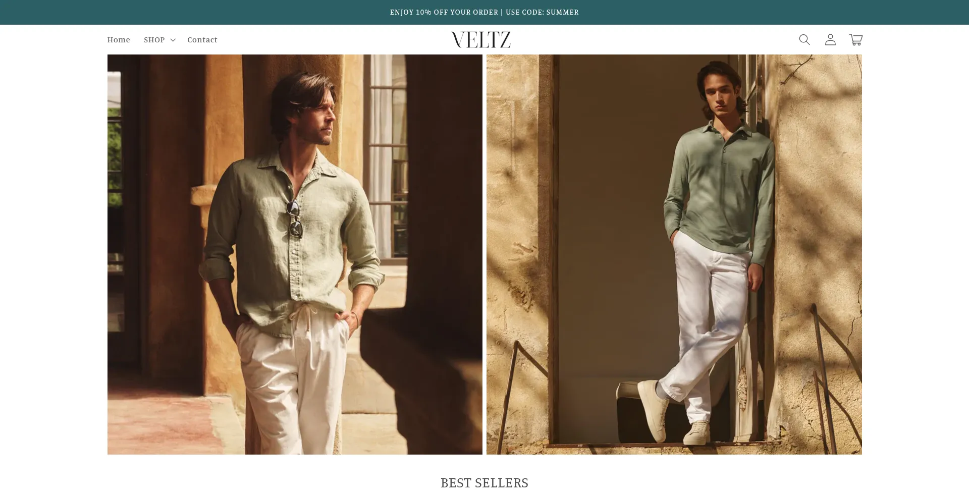 Website screenshot of Veltz.co
