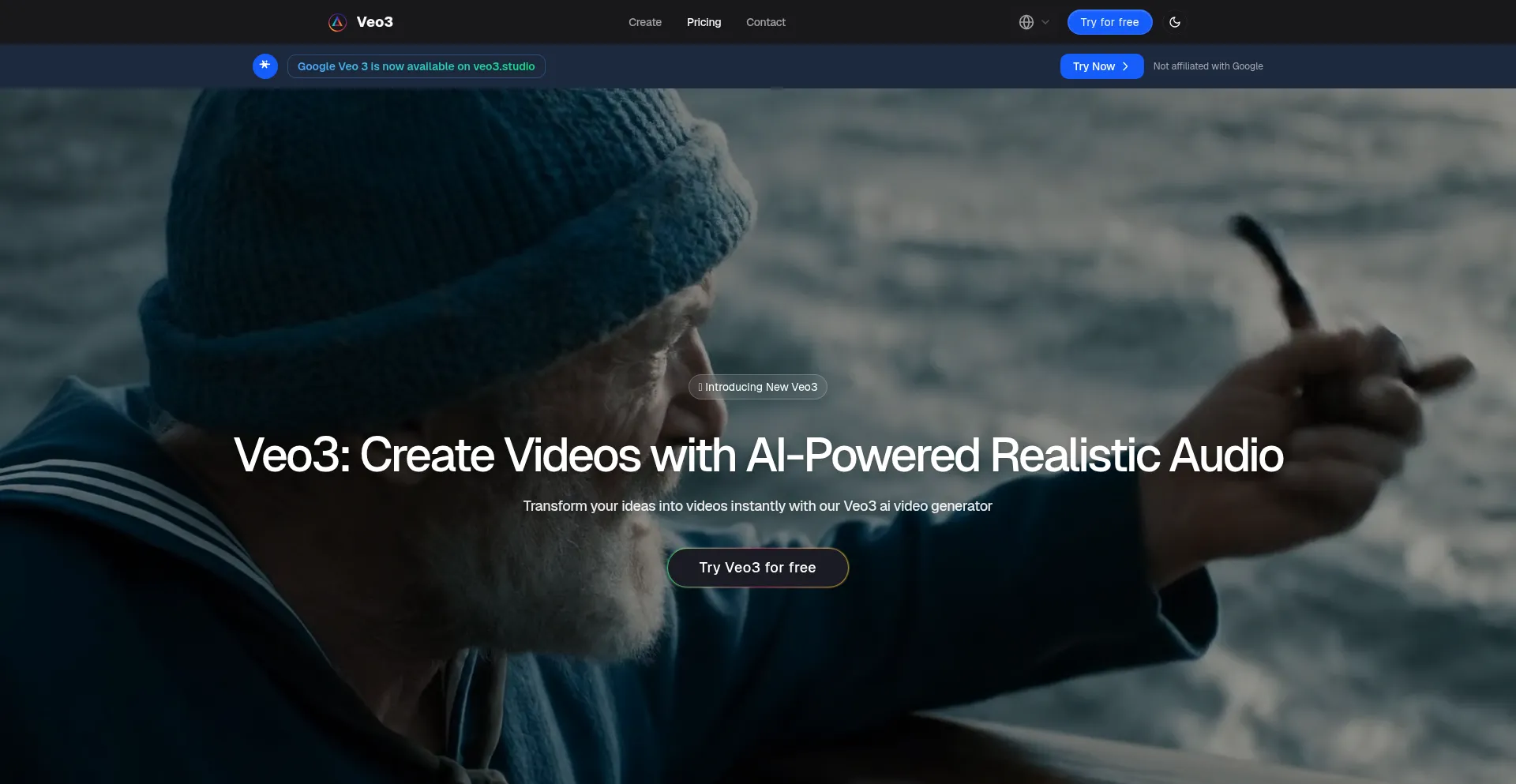 Website screenshot of Veo3.studio