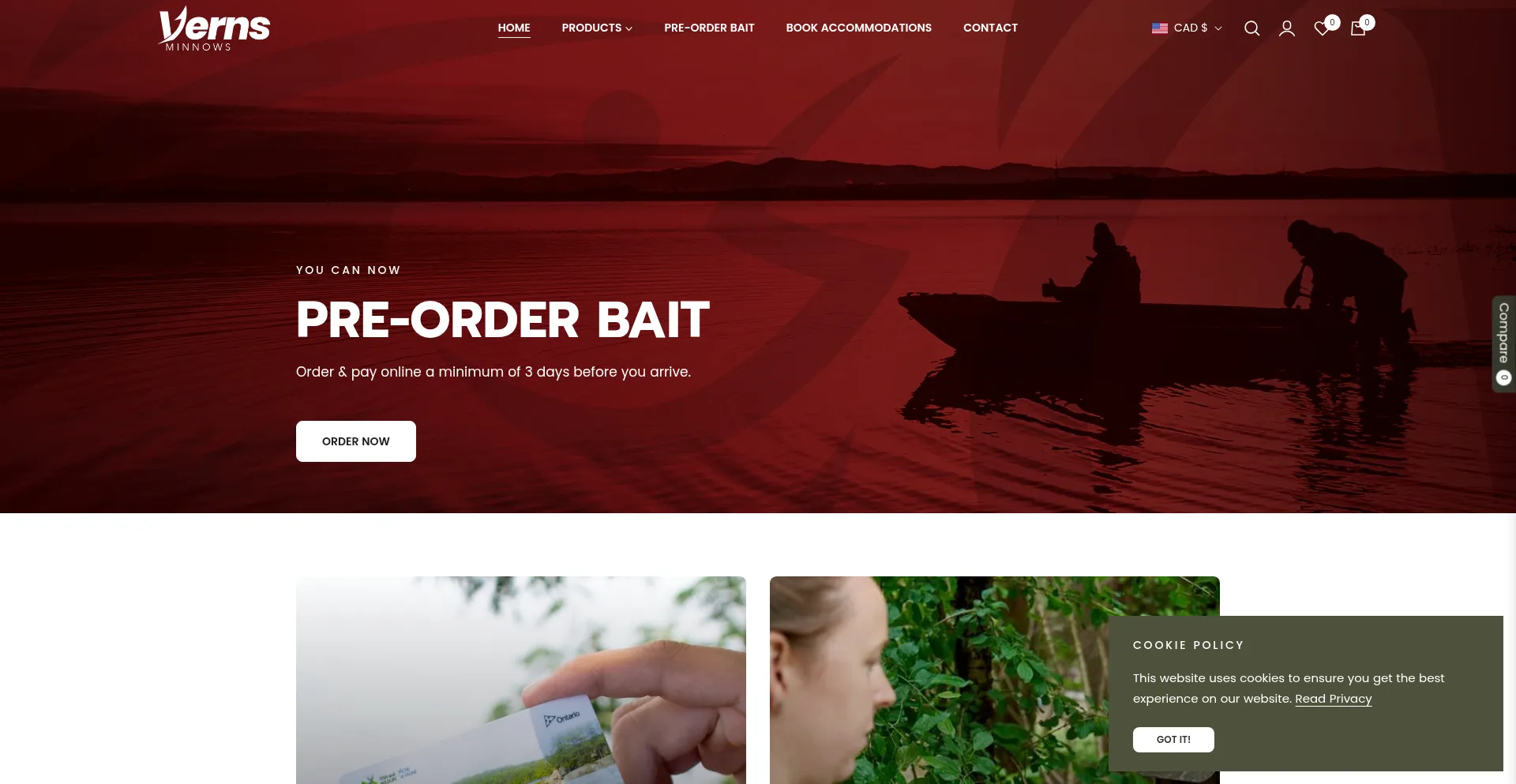 Website screenshot of Vernsminnows.com