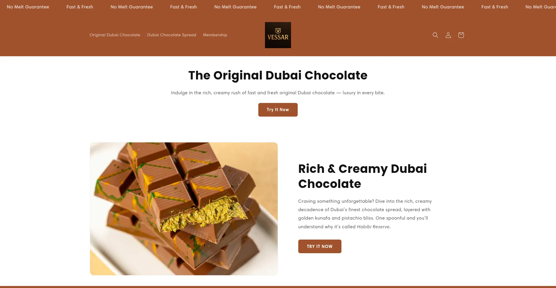 Website screenshot of Vessar.net