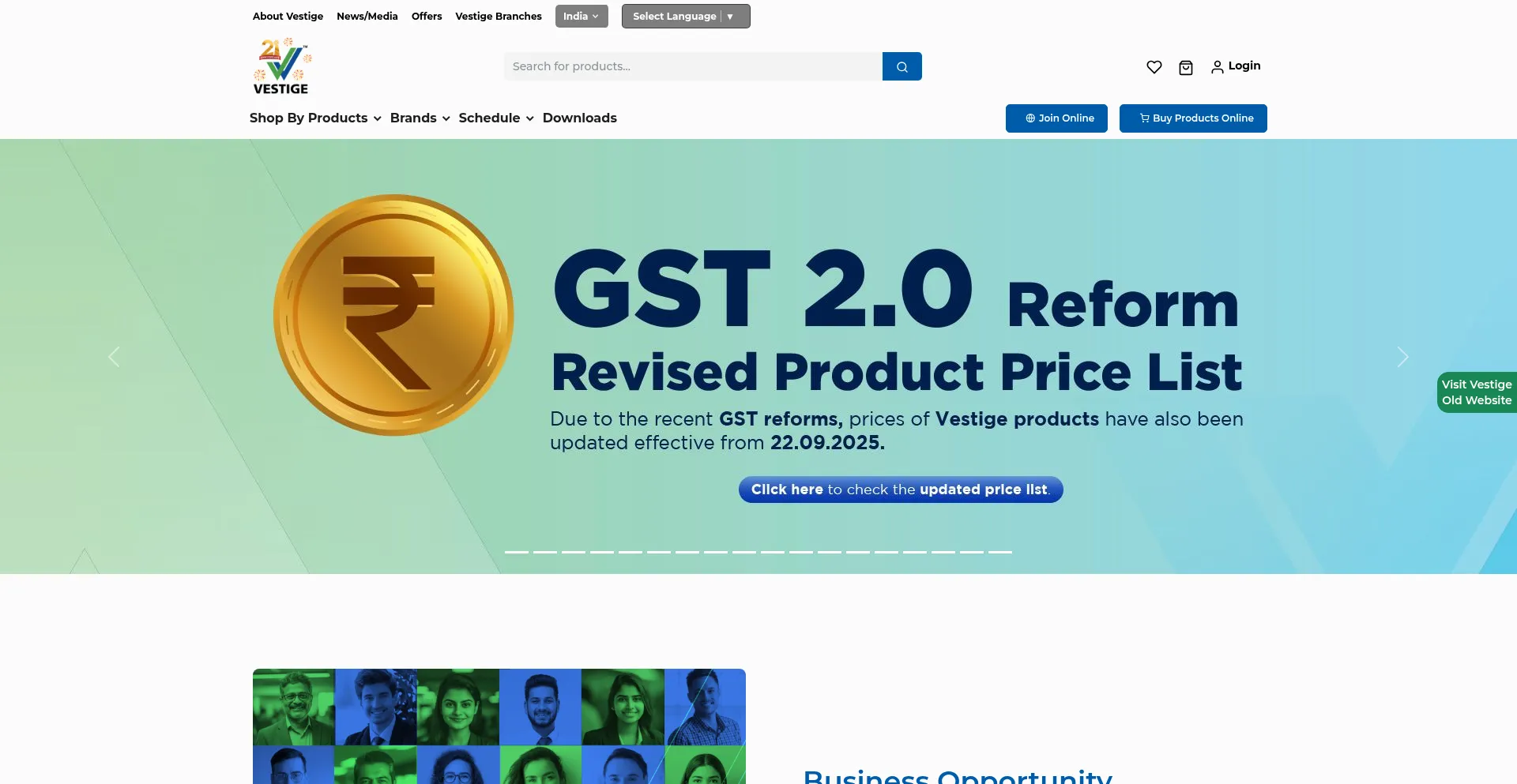 Vestige.com Screenshot