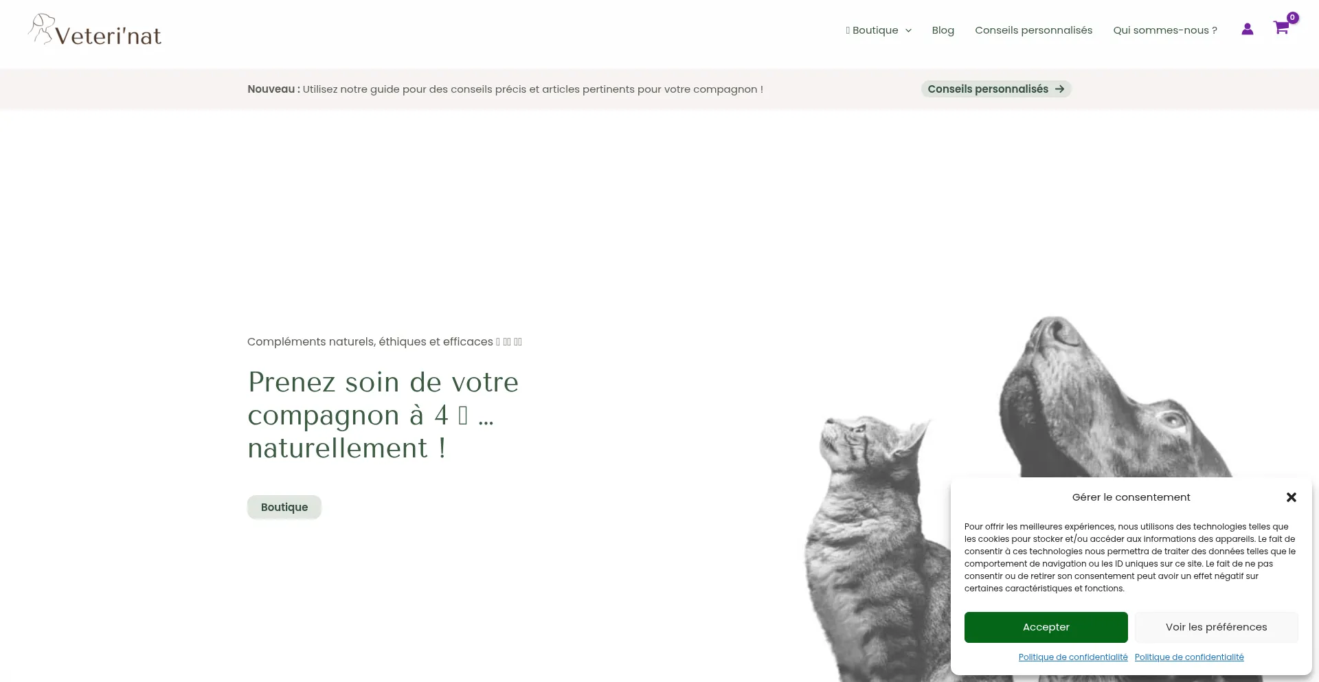 Website screenshot of Veterinat.com