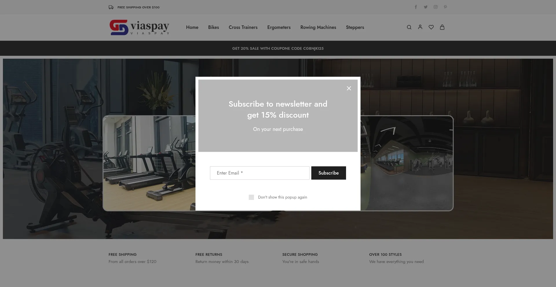 Website screenshot of Viaspay.com