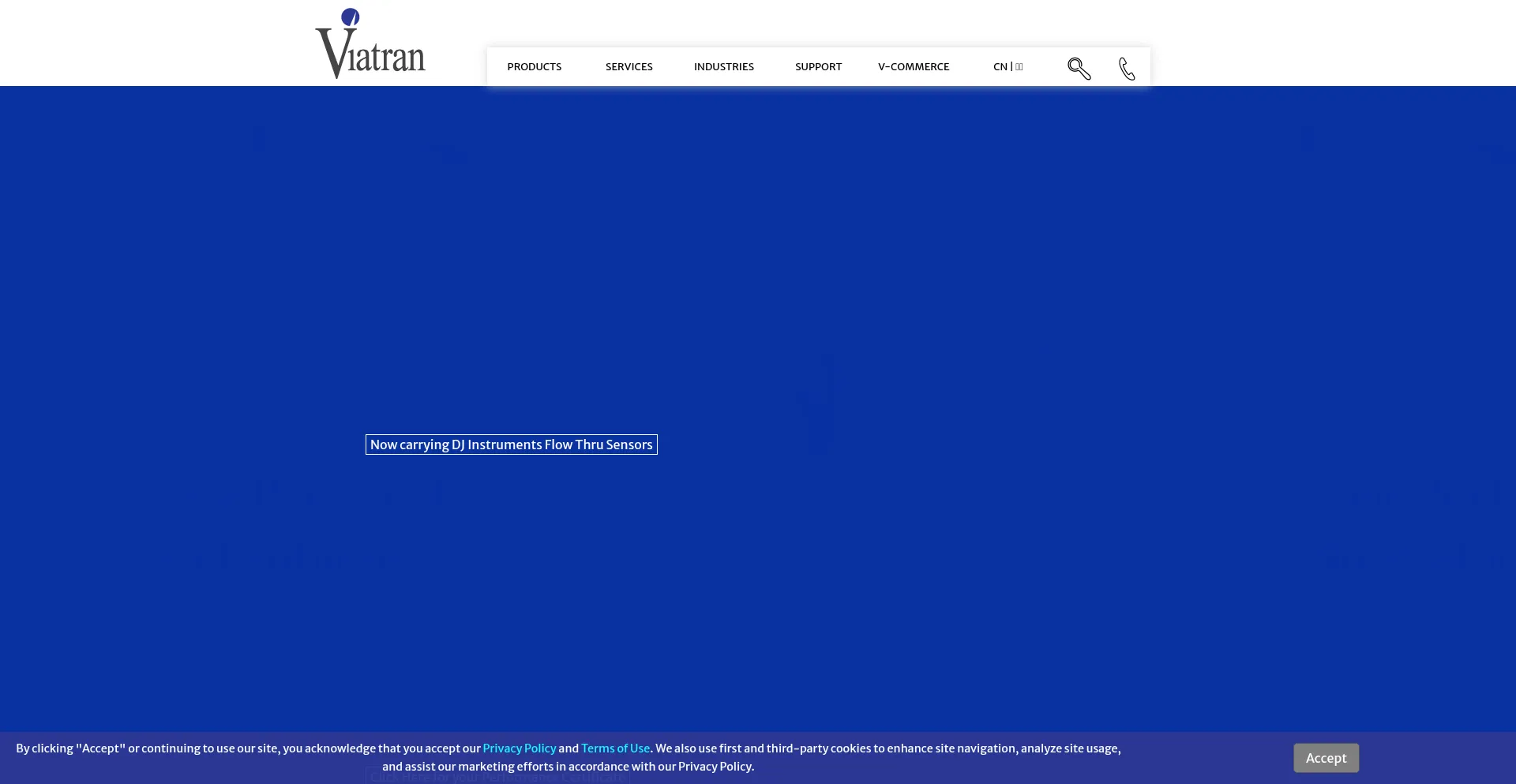 Website screenshot of Viatran.com