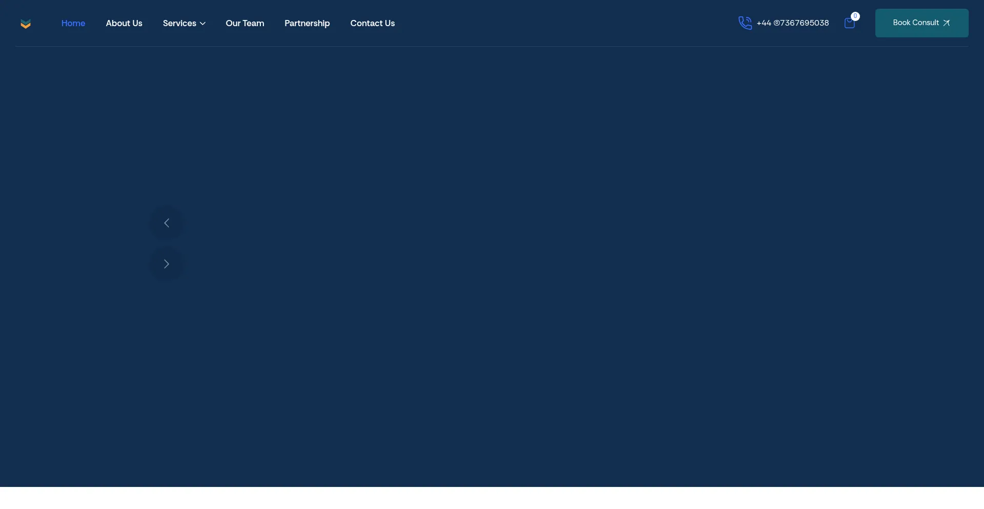 Website screenshot of Vibranthrpartners.com
