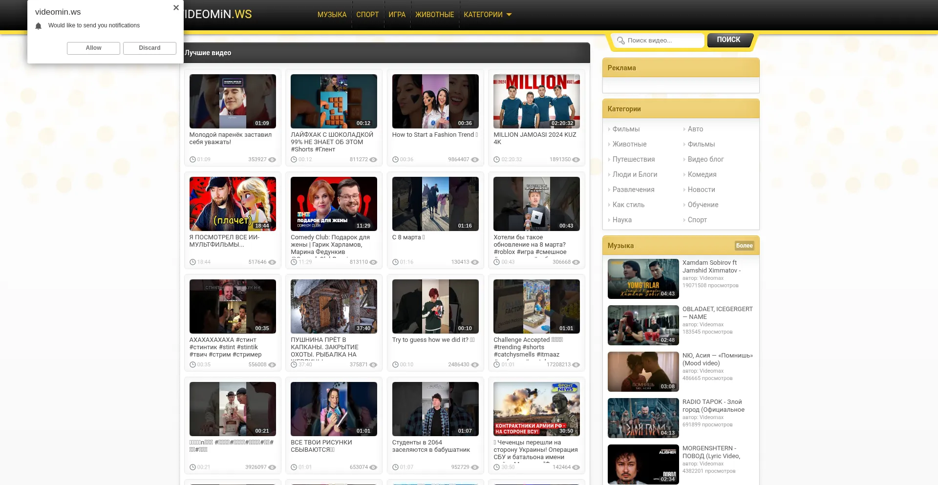 Website screenshot of Videomin.ws