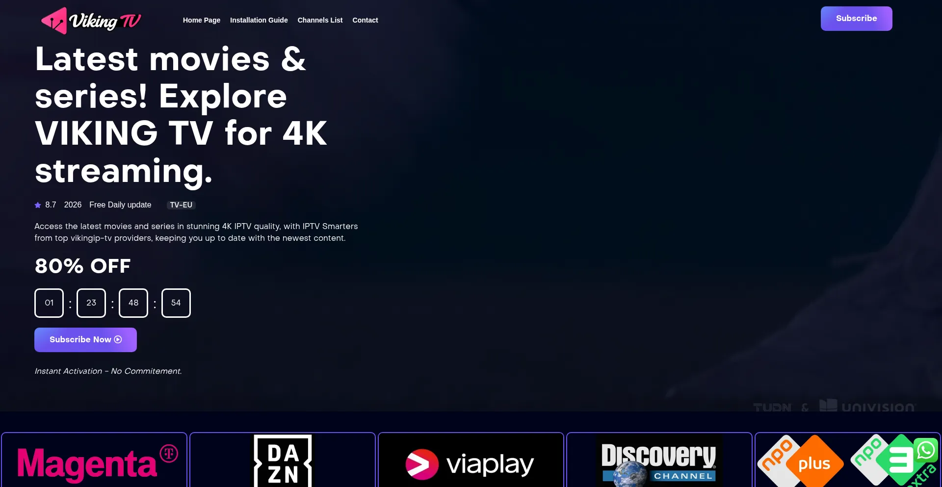 Vikingip-tv.com