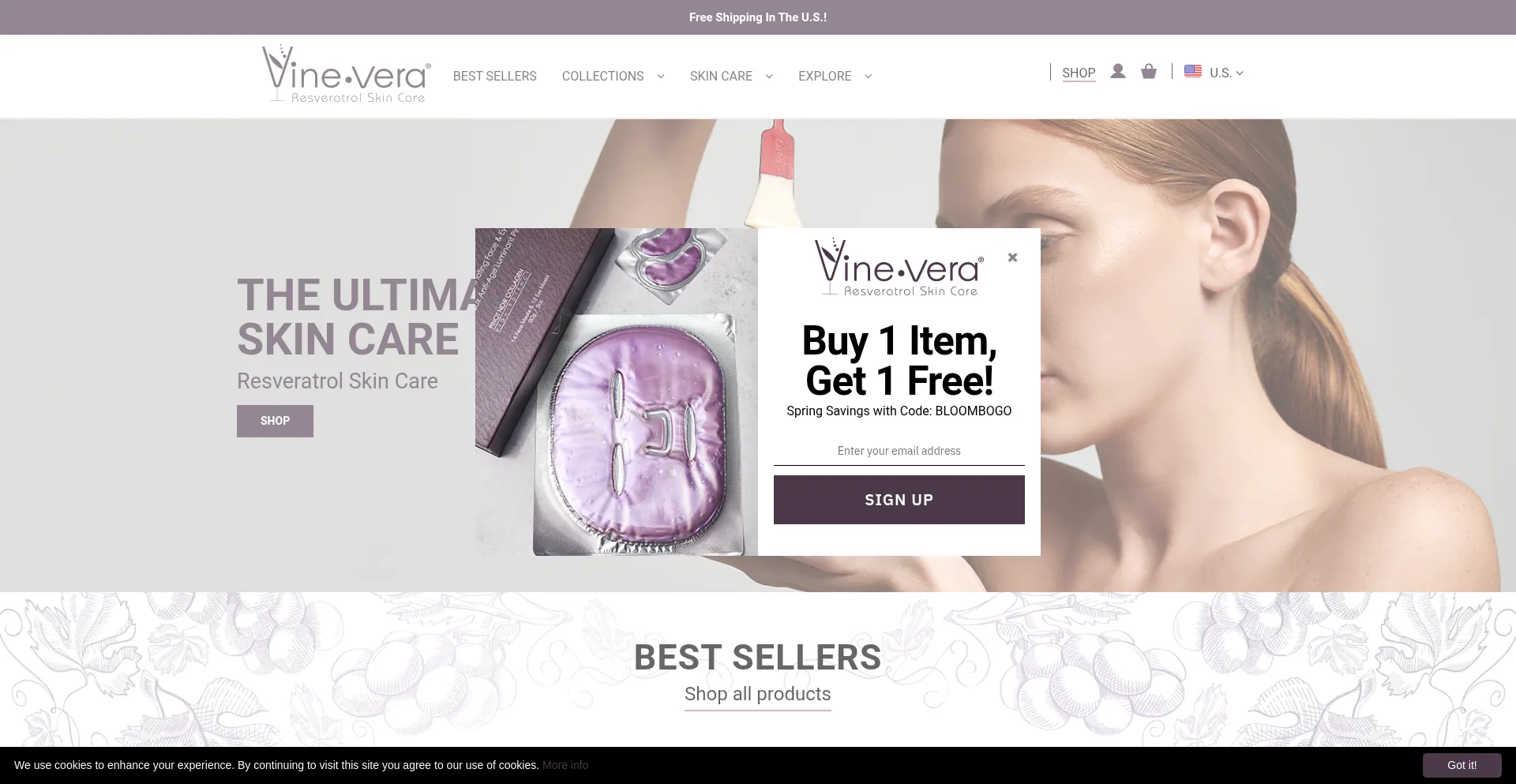 ¿És Seguro y Confiable Vinevera.com?