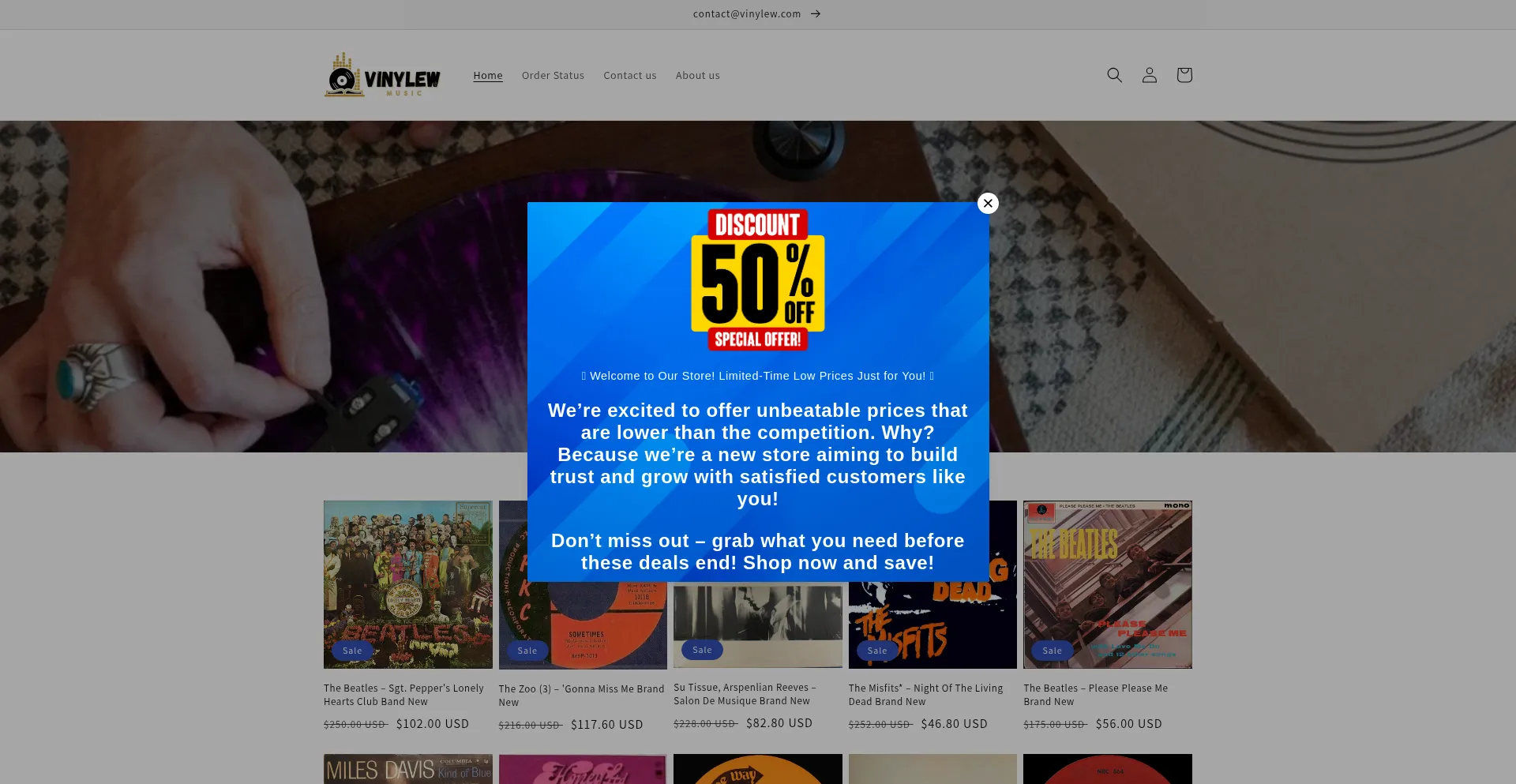 Website screenshot of Vinylew.com