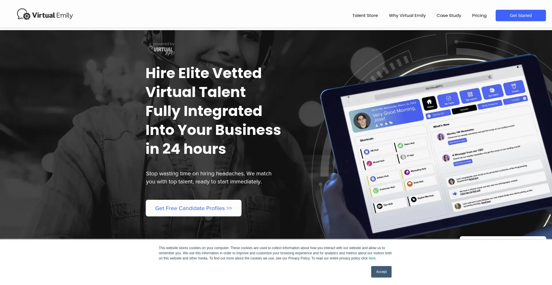 Website screenshot of Virtualemilystaffing.com