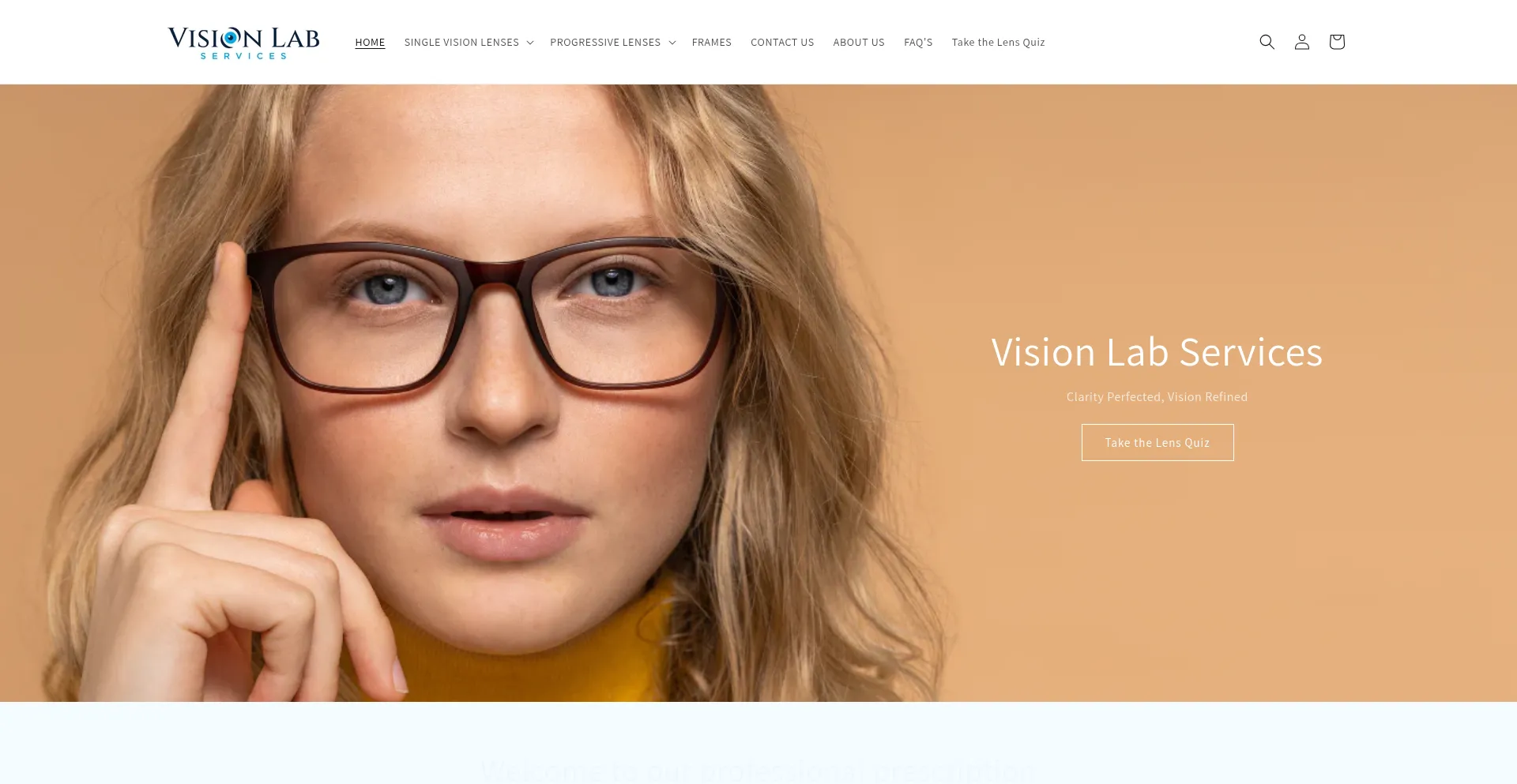 Visionlabservices.com