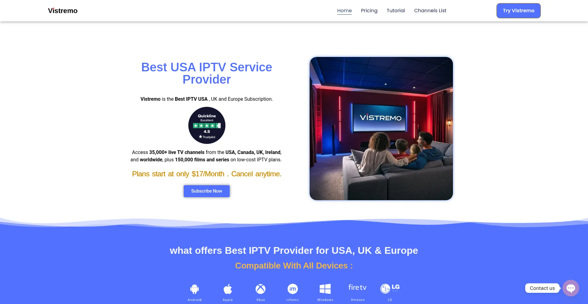 Website screenshot of Vistremo.com