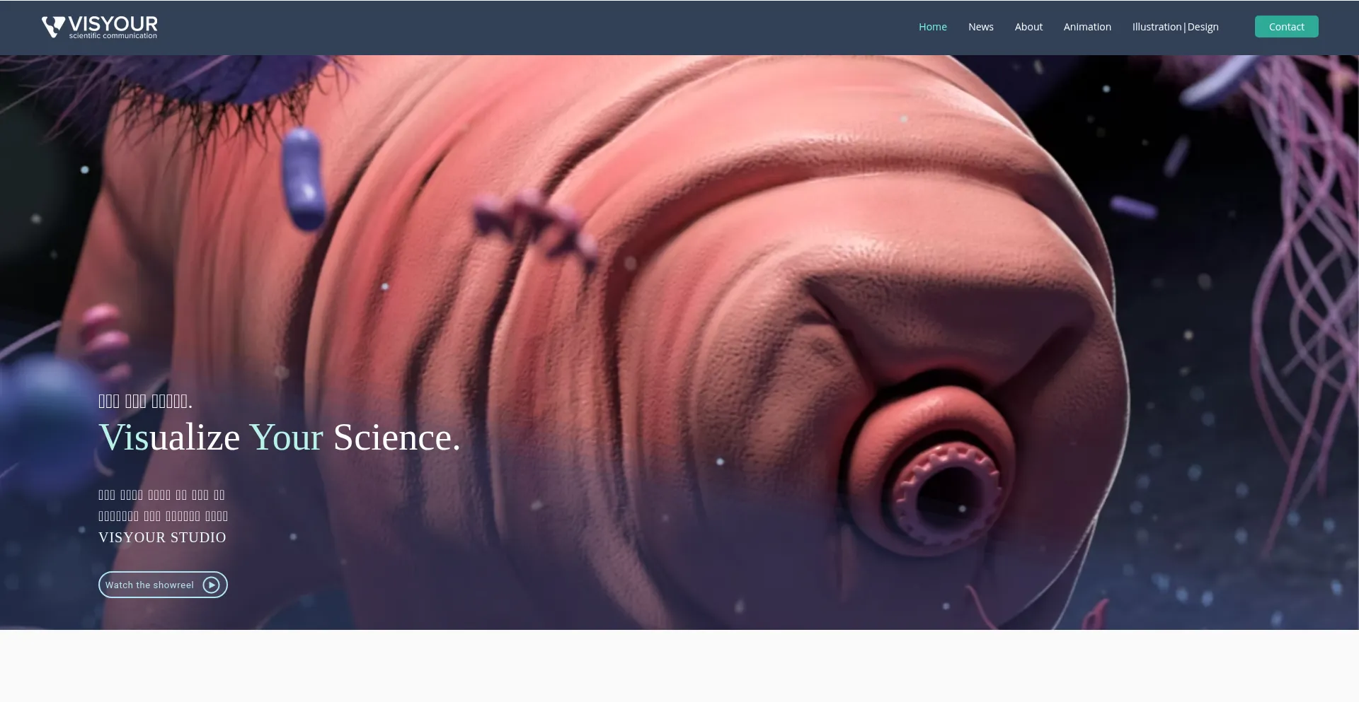 Website screenshot of Visyour.com