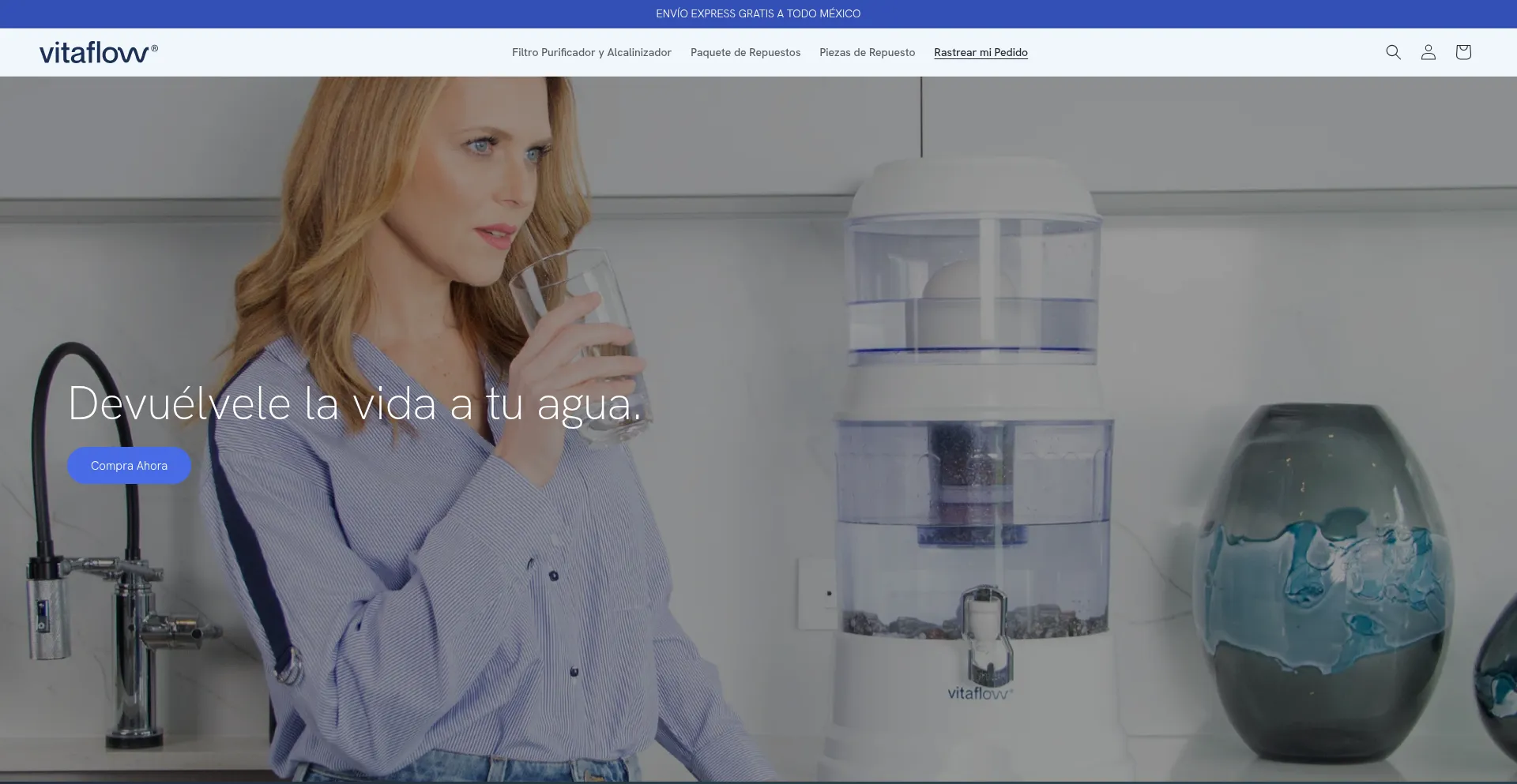 Website screenshot of Vitaflow.com.mx