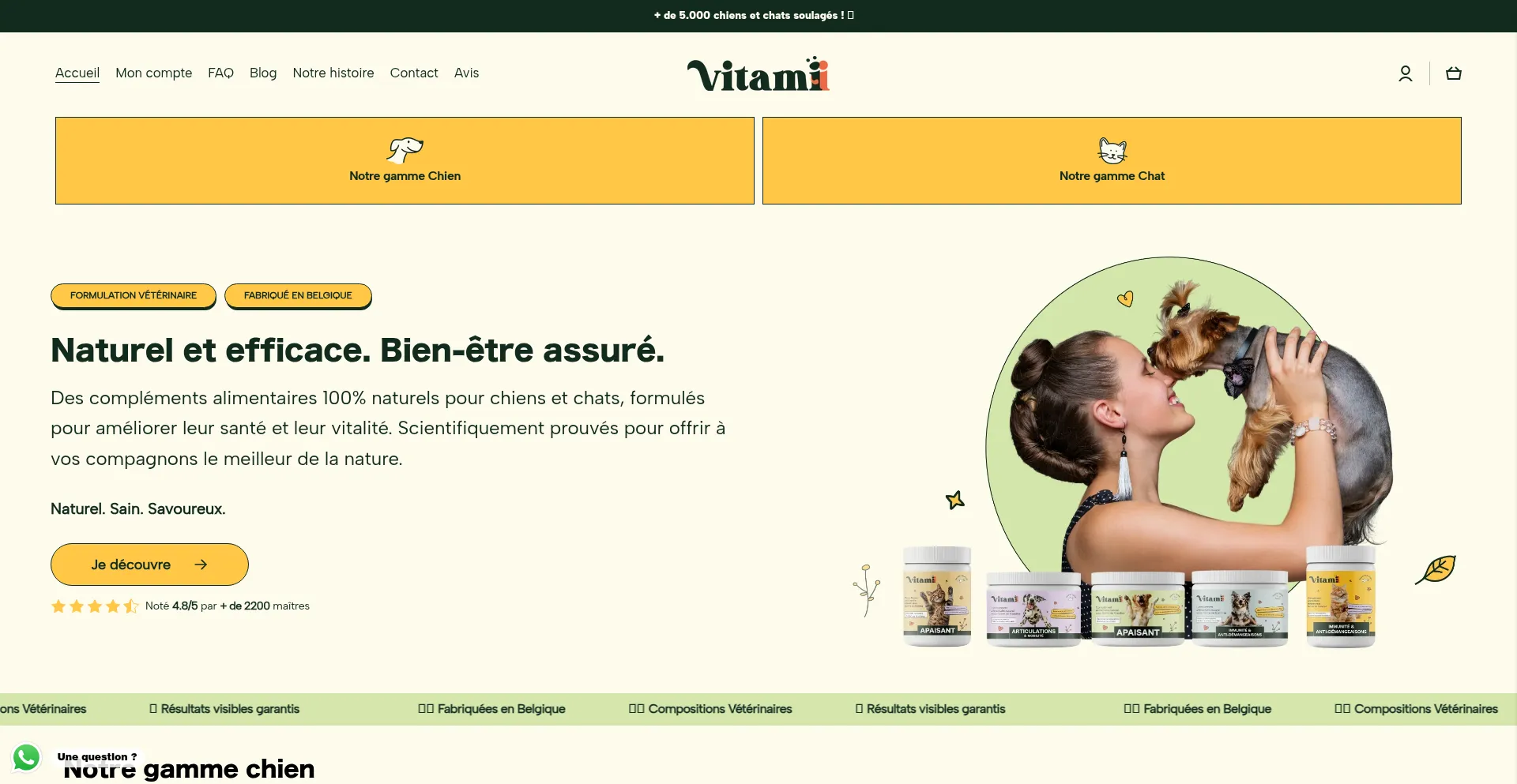 Website screenshot of Vitamii.fr