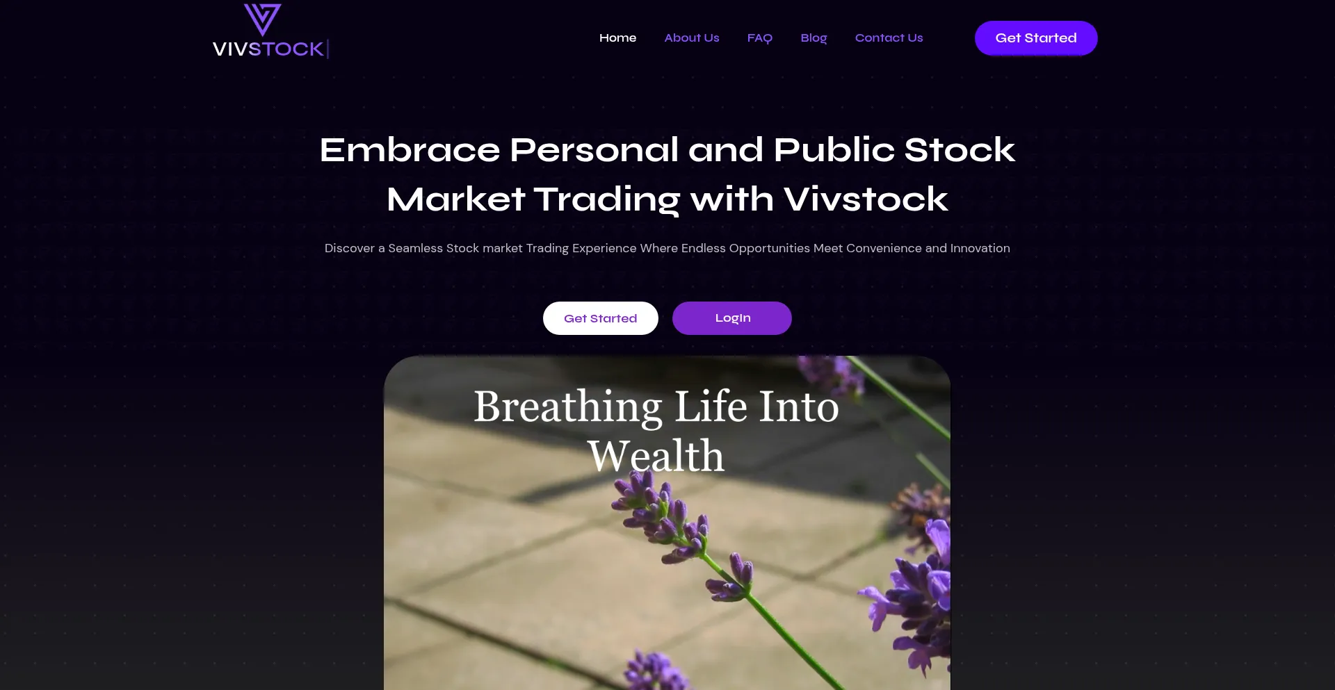 Website screenshot of Vivstock.com