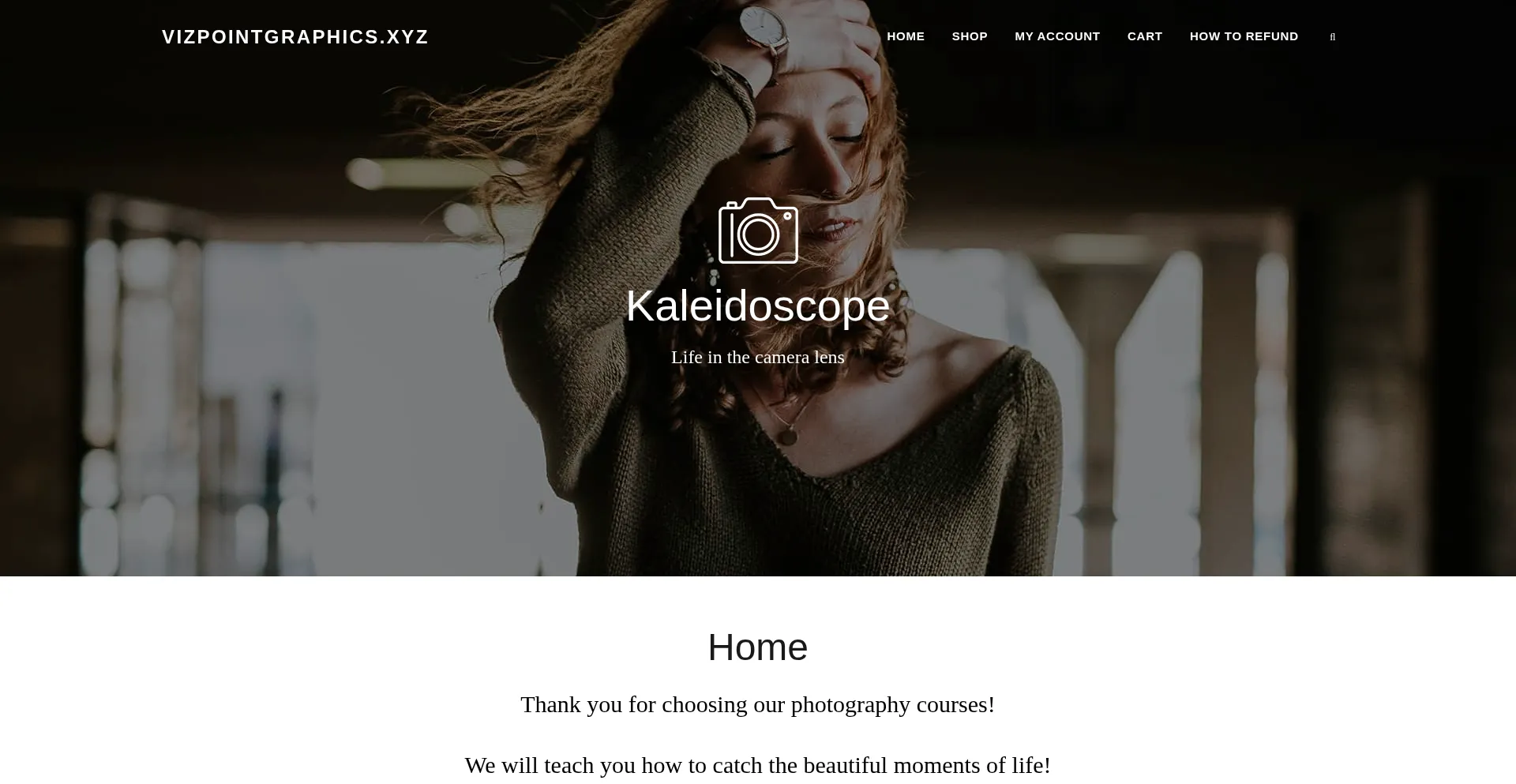 Website screenshot of Vizpointgraphics.xyz