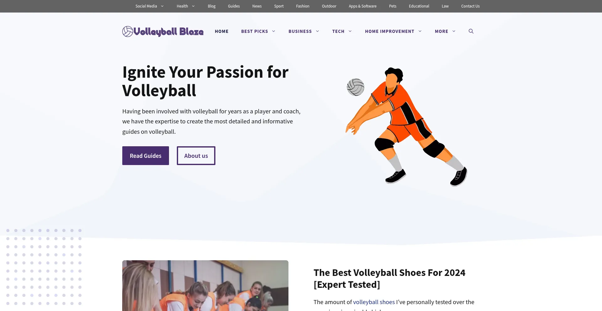 Volleyballblaze.com Screenshot