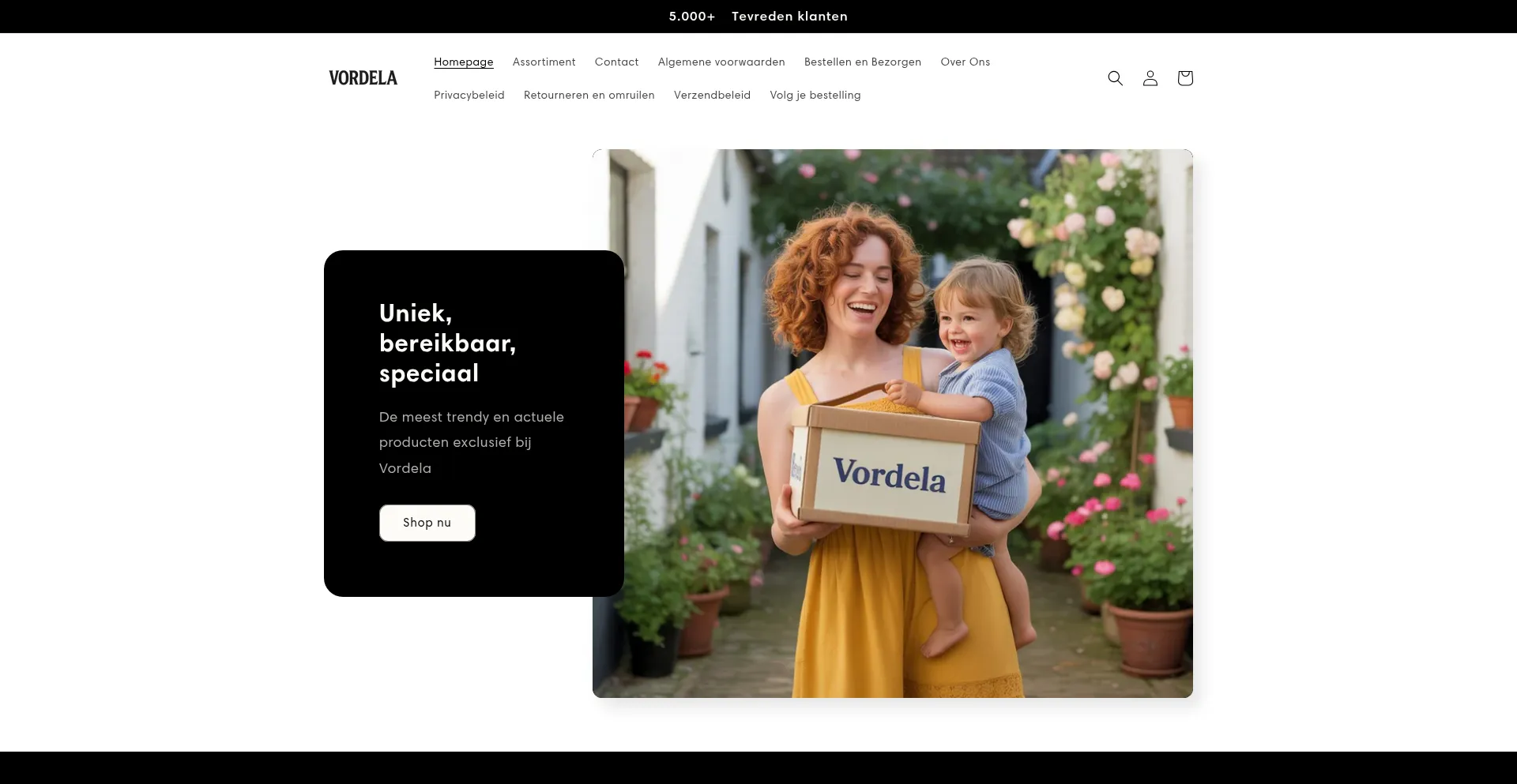 Website screenshot of Vordela.nl