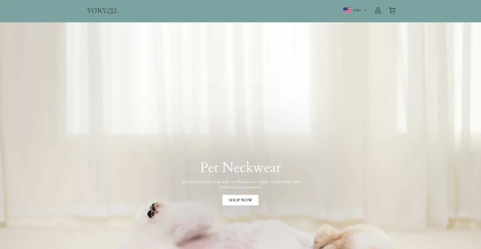Website screenshot of Voryzel.com