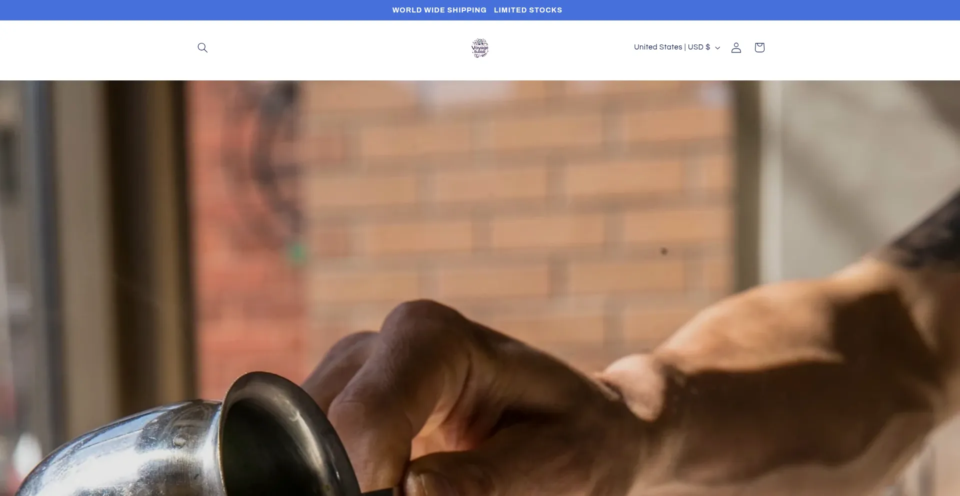 Website screenshot of Voyagabubble.shop