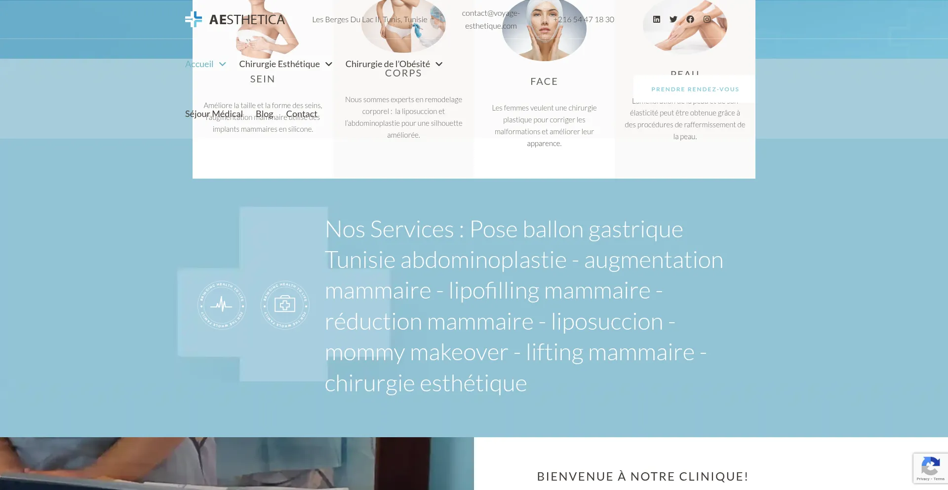 Website screenshot of Voyage-esthetique.com