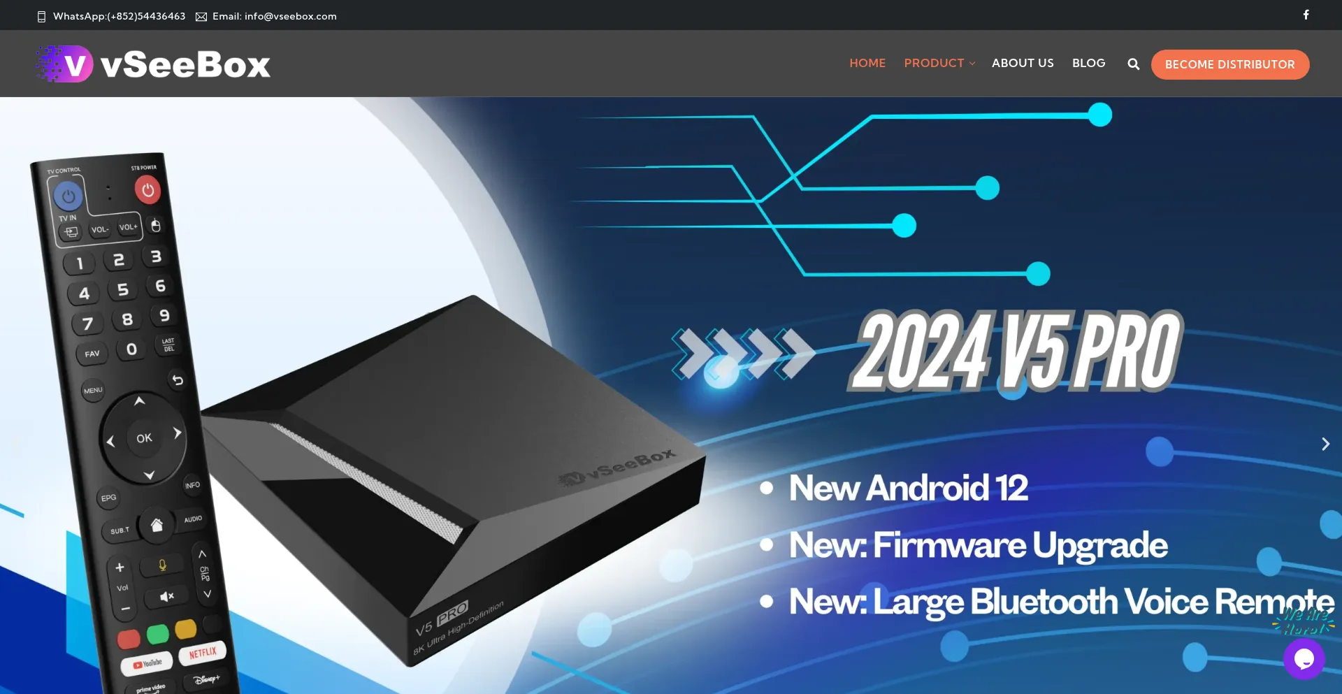 Website screenshot of Vseebox.com