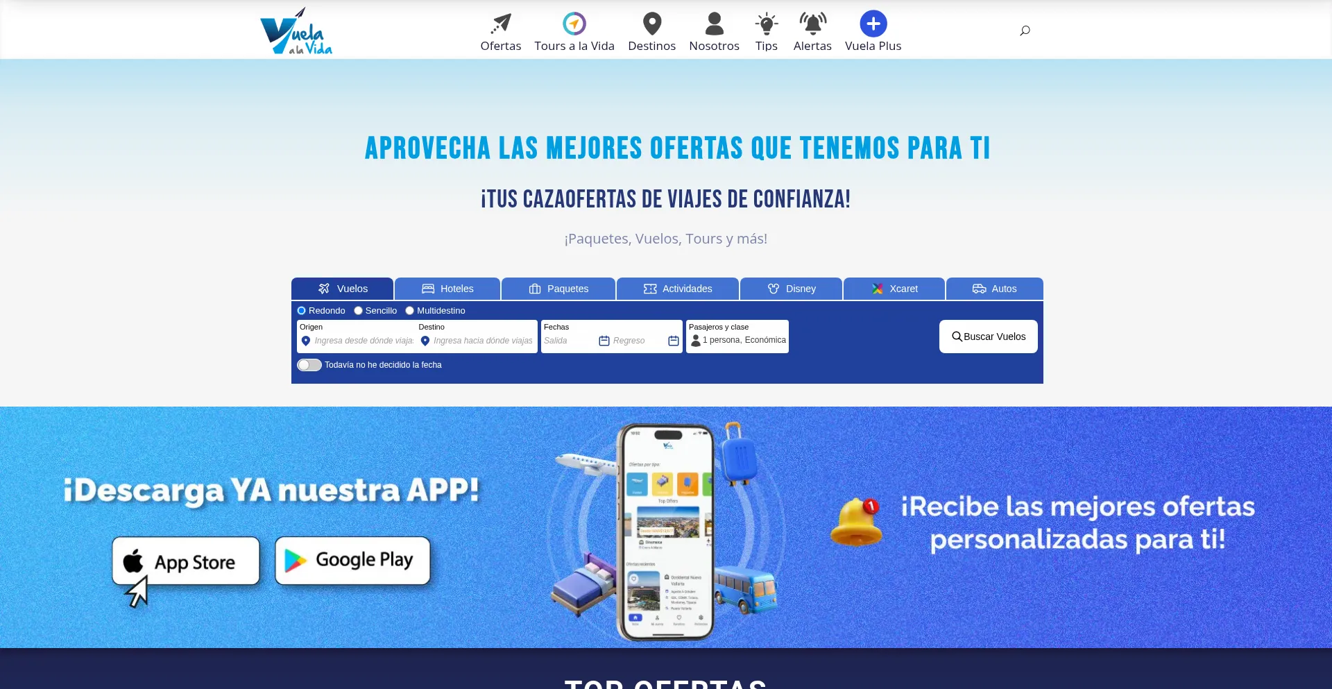 Website screenshot of Vuelaalavida.com