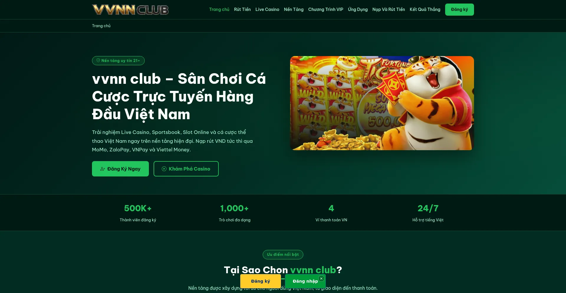 Vvnnclub.pro