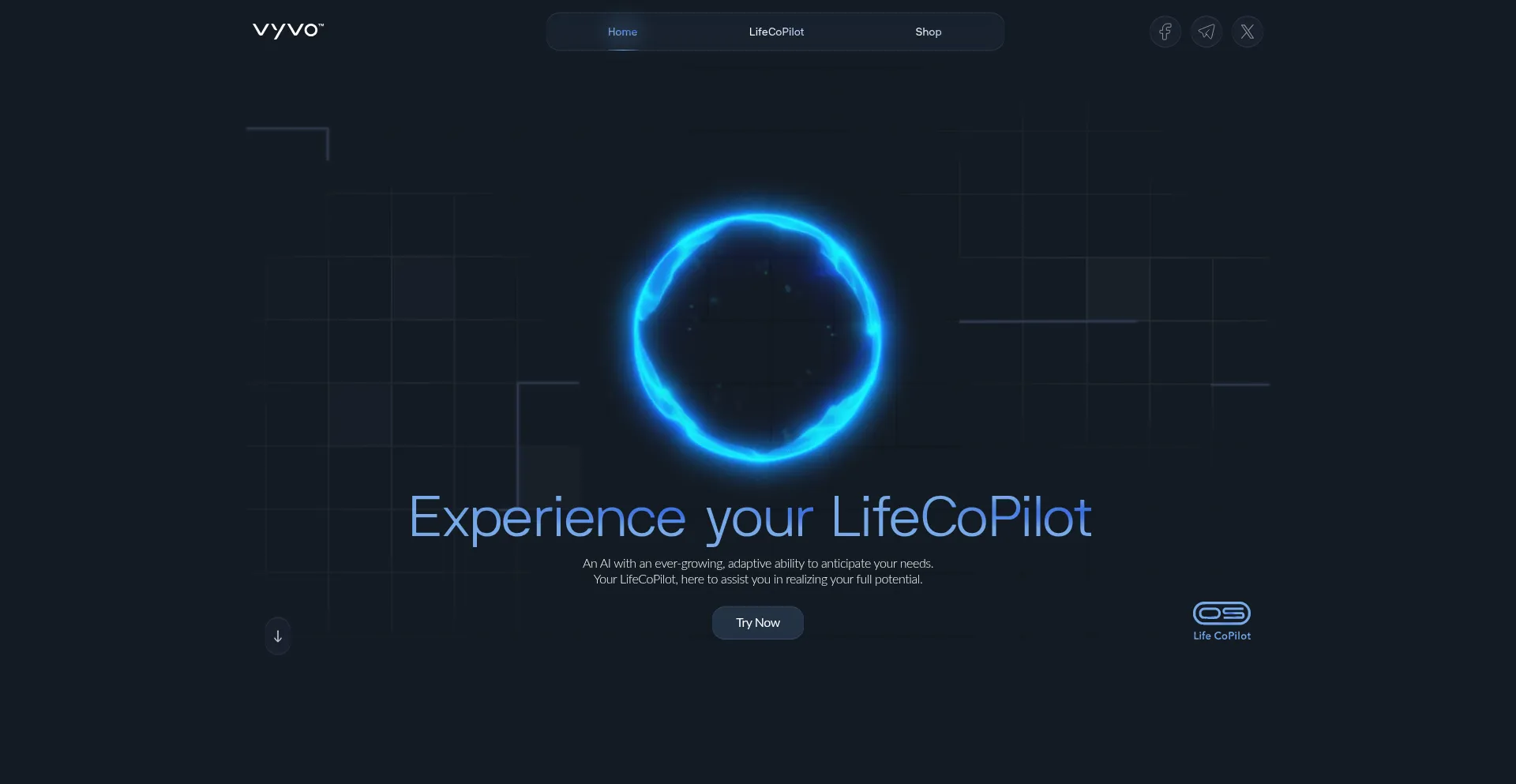 Vyvo.com