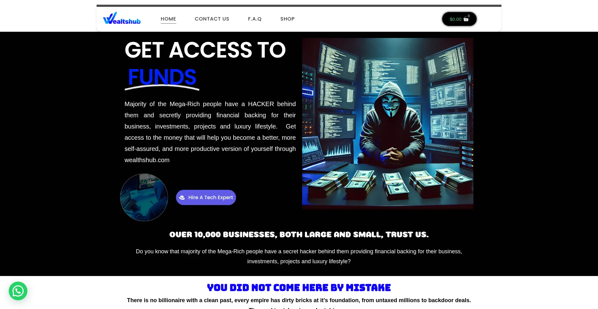Wealthshub.com
