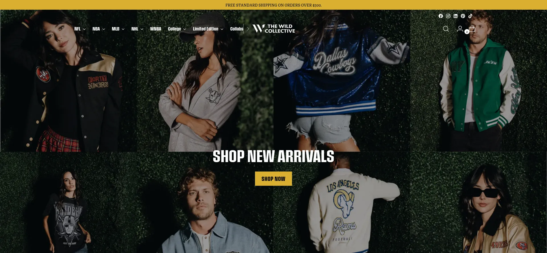 Website screenshot of Wearethewildco.com