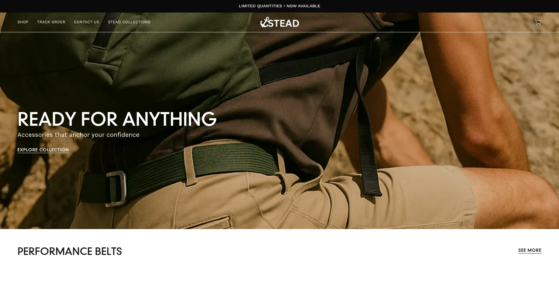 Website screenshot of Wearstead.com