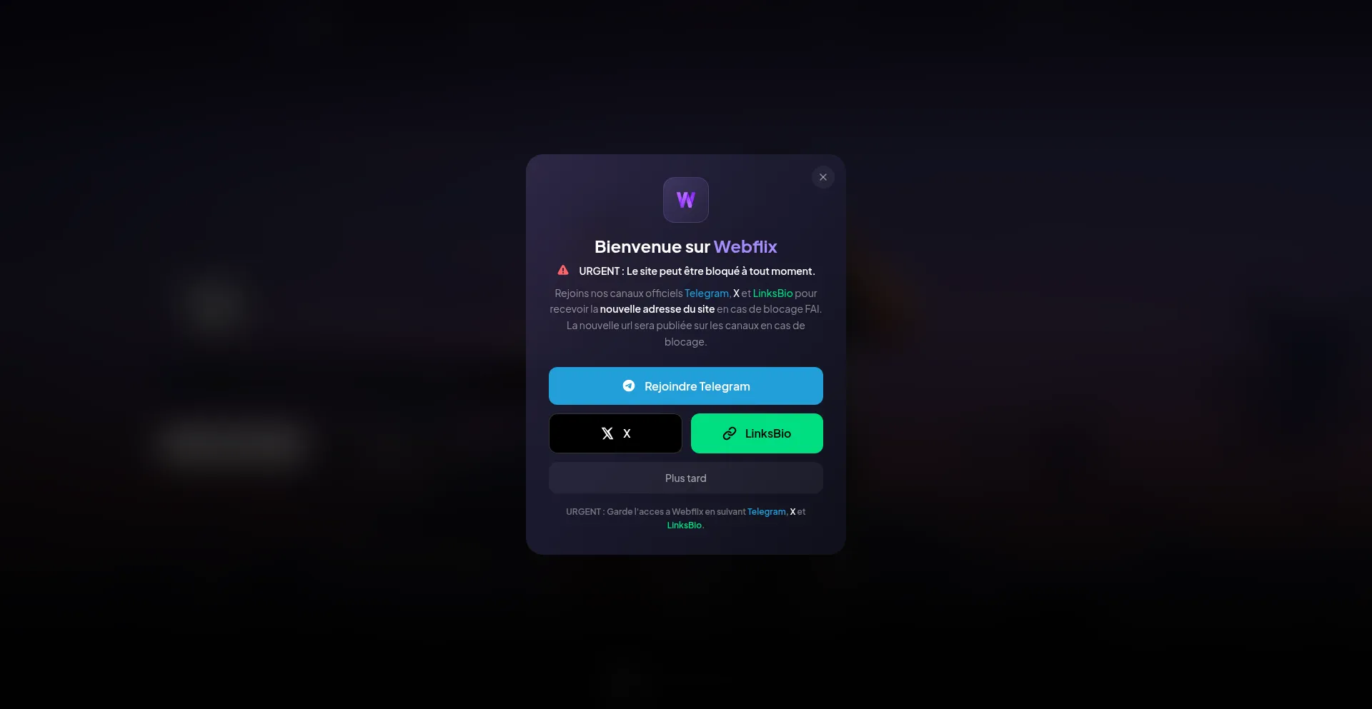 Webflix.art